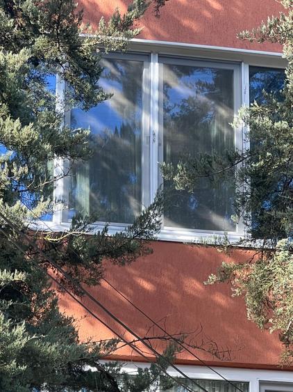 Apartament cu doua camere in statiunea Buzias - 3