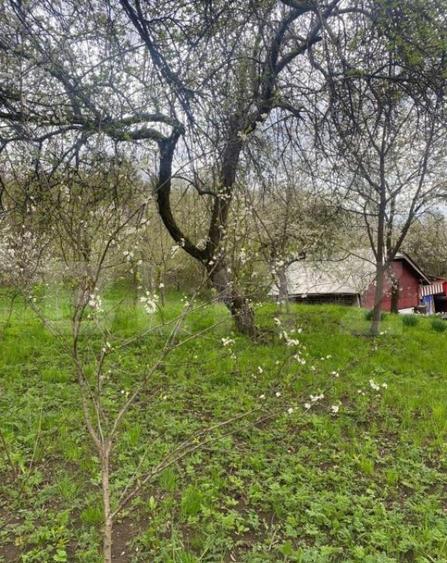 Teren 784 mp, Nistoresti, jud Prahova - 2