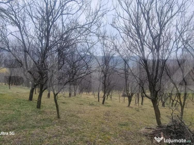 TEREN INTRAVILAN VEDERE PANORAMICA La 2 km de Manastirea CRA - 4