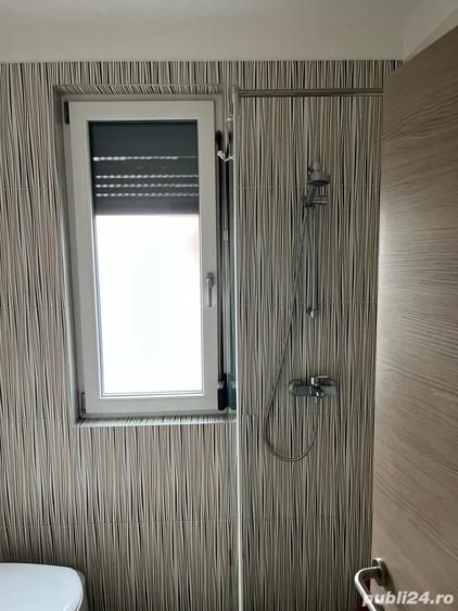 Proprietar Vand Penthouse in spate la Hornbach - 6