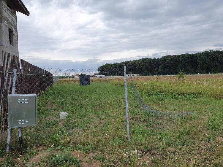 TEREN CONSTRUCTII-INTRAVILLAN-SUPERB-SNAGOV-PADURE-UTILITATI-PROIECT - 8