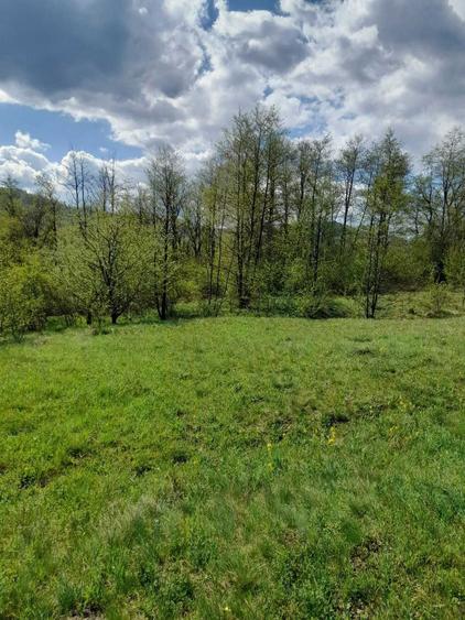 Vand teren intravilan 1632 mp in Poiana Sarata-Oituz - 3