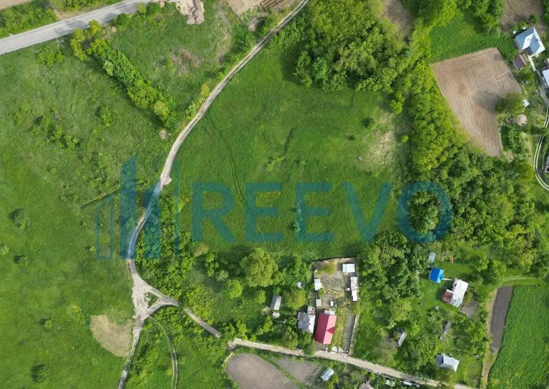 Teren de vanzare, Com. Racova, Str. Bradului, Bacau - 6