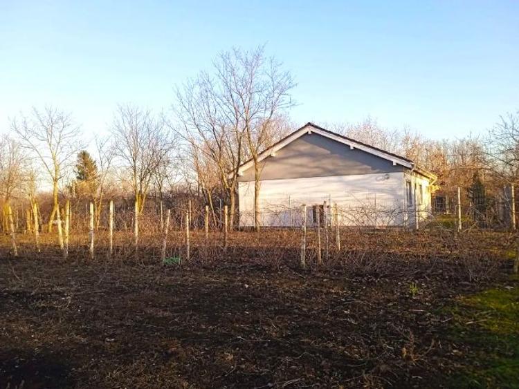 Teren de vanzare in Razvani - 4