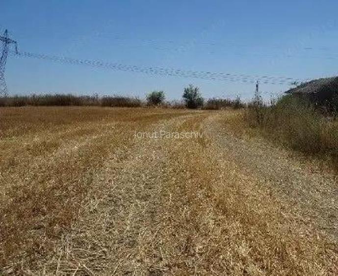 Teren extravilan Cernavoda, ID: R2755634 Teren extravilan Cernavoda, ID: R2755634