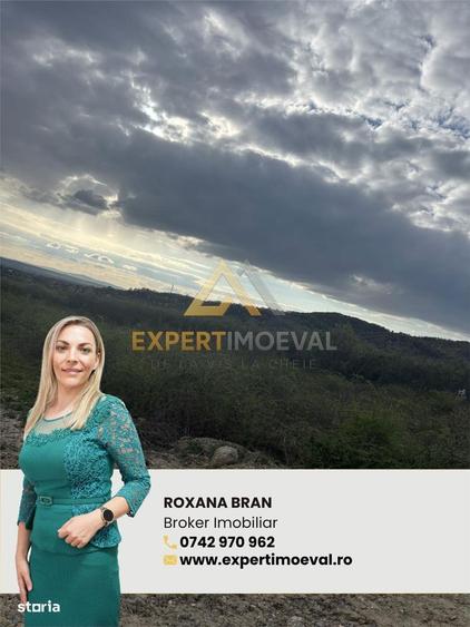 Teren generos pentru investitori, Tautii Magherausi str 4 - 1