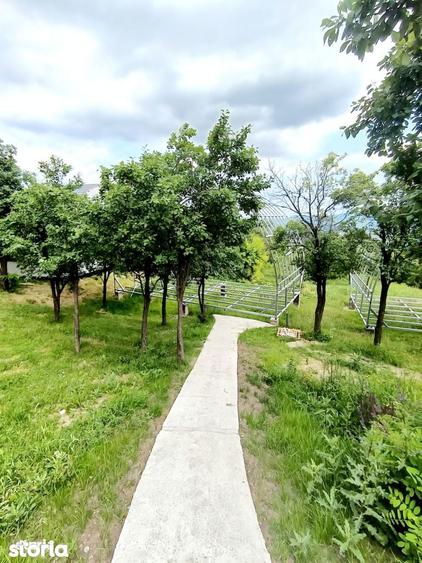 Ansamblu reziden?ial 5 case de vacan?a in Plaiu Campinei, Prahova - 14