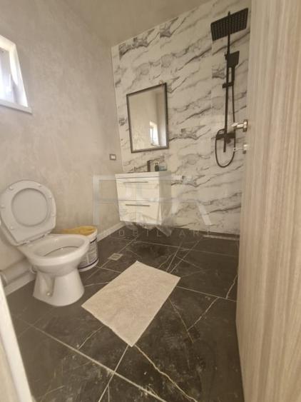 Apartament cu 2 camere intr-o vila de langa parcul Teilor - 11