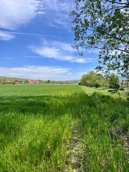 Teren intravilan construcție casă - 3