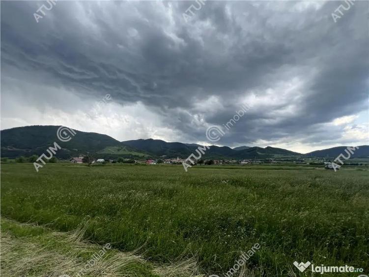 Teren intravilan de 3477 mp cu deschidere de 35 m in Boita - 6