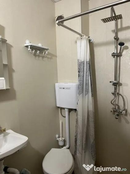 Apartament de vanzare Buziasului - 2