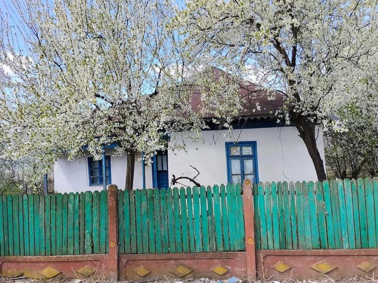 Casa batraneasca - 1