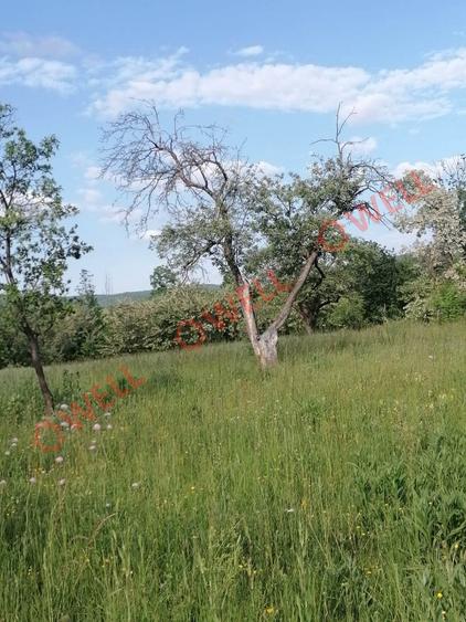 De vânzare teren intravilan în Estelnic! - 4