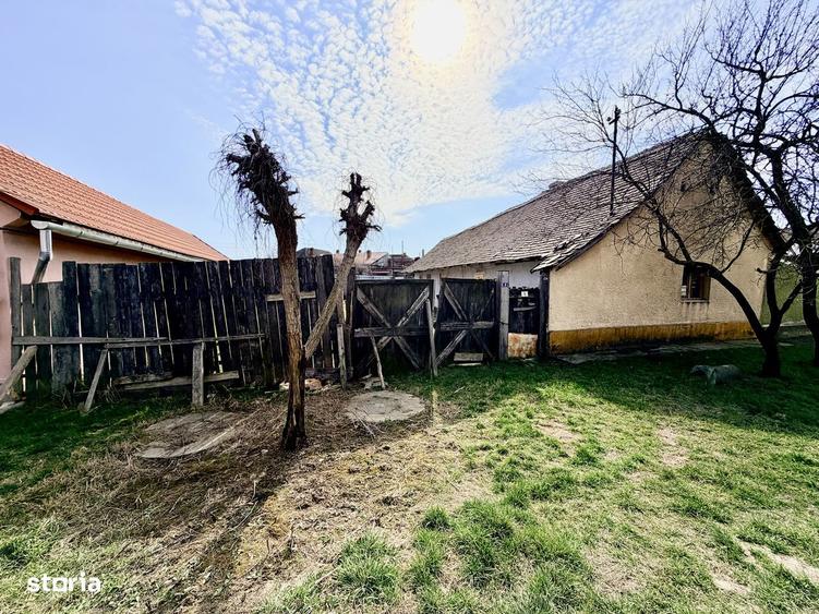 Casa de vanzare tradi?ionala Pecica teren 878 mp - 3