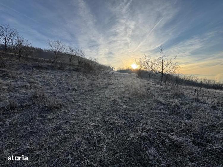 Teren de vanzare in Gusterita, cu acces asfaltat - 6