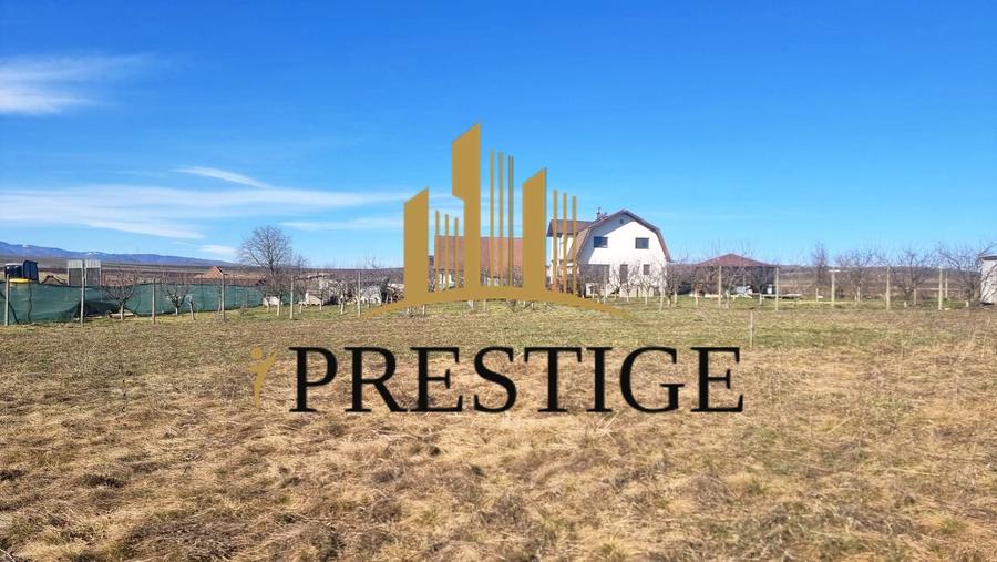 TEREN EXTRAVILAN 873 MP DE VÂNZARE ȘURA MICĂ | POTENȚIAL INTRAVILAN - 3