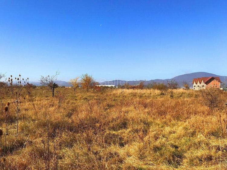 Teren investitie Ghimbav - 4