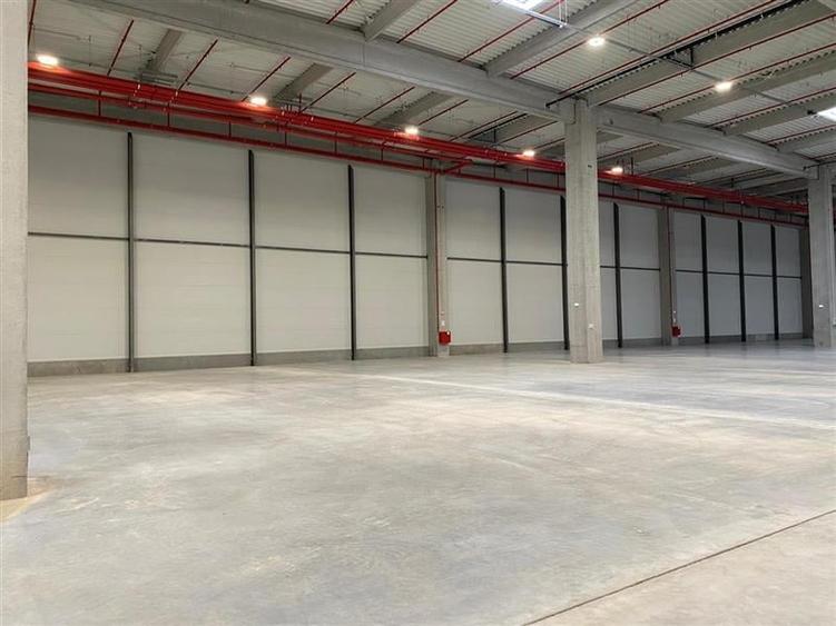 Inchiriere depozit/hala/spatiu industrial Chitila - Centura, Ilfov - 5