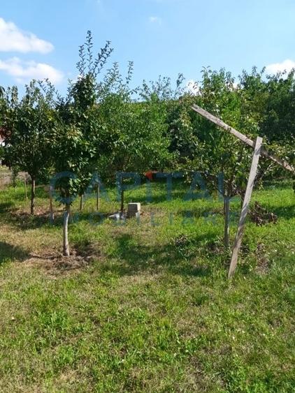 Comision 0%,  Teren - Casa de vacanta - 3