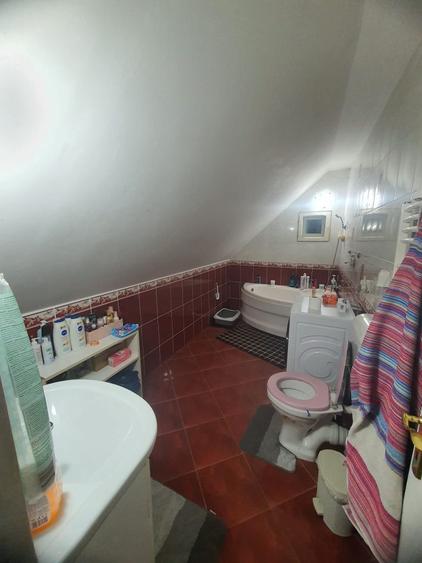 Vand casa in Minis - 4