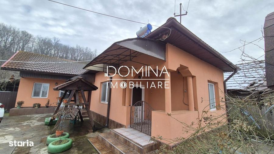 Vanzare 2 case - teren generos - facilitati complete - sat Carbesti - 6