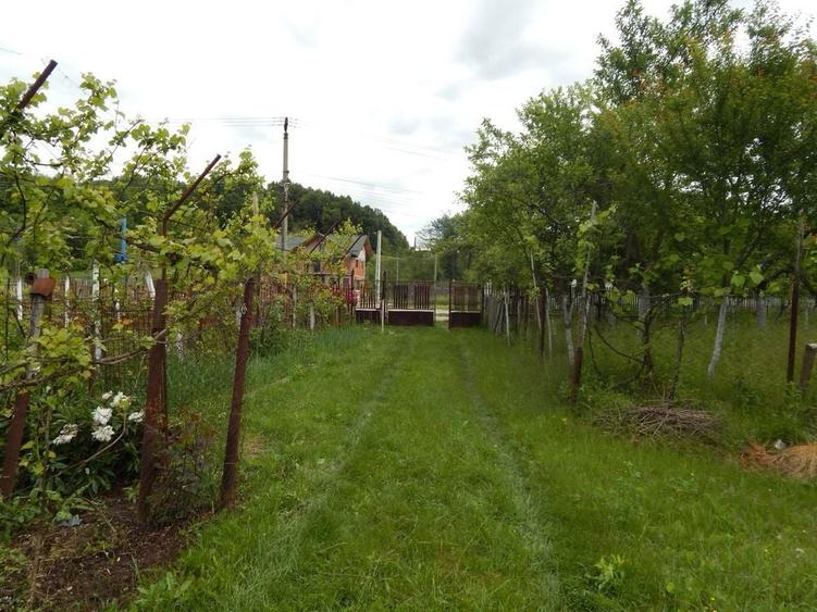 Casa bunicilor la tara - 1