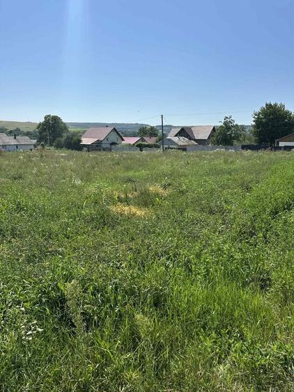 Teren intravilan - 3