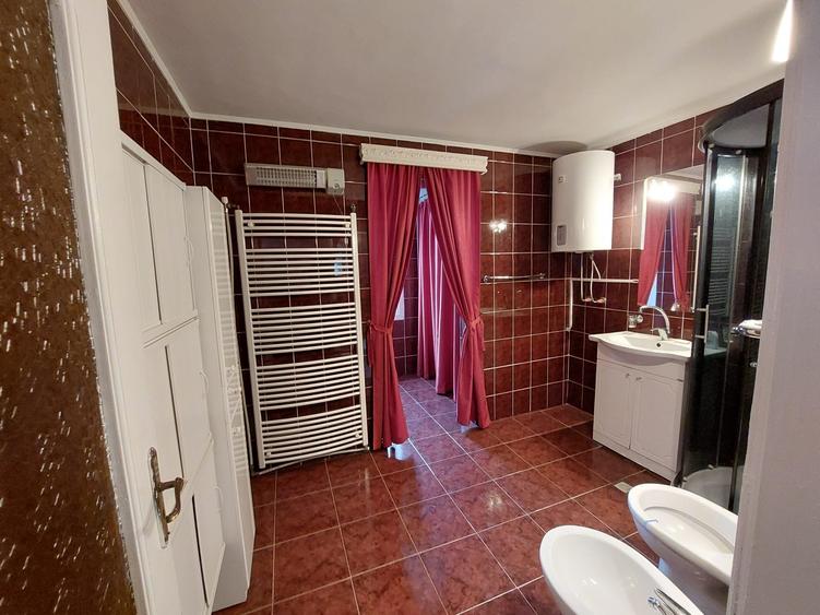 Casă de închiriat, curte mare, livadă și piscină Snagov/Ciolpani - 6