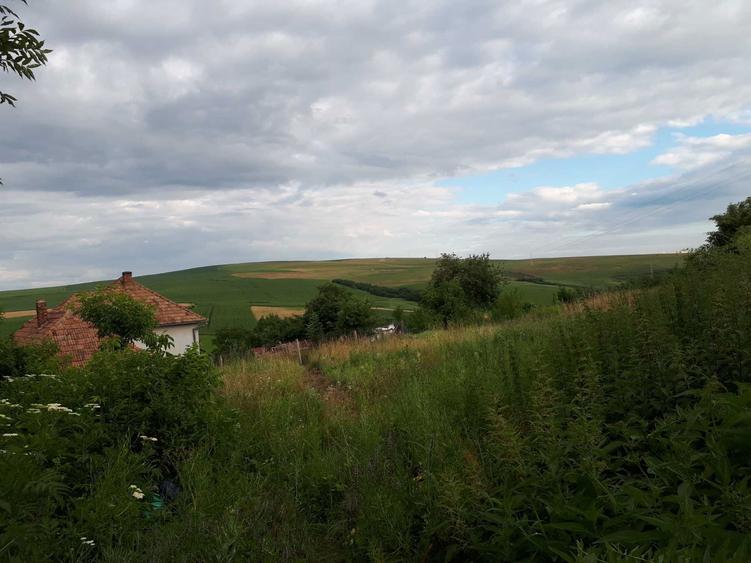 Vand 2300 mp cu utilitati, 32 eur/mp, Cluj Napoca/sat Rediu/Aiton - 2