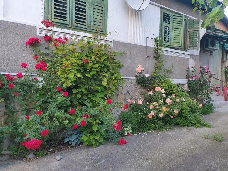 Casa in satul Colun ,cu D+P inalt ,sura mare si 1100mp teren - 2