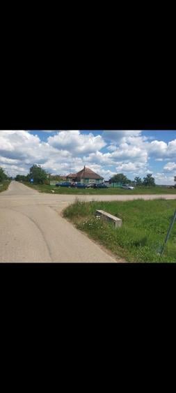 Vand casa cu gradina - 2