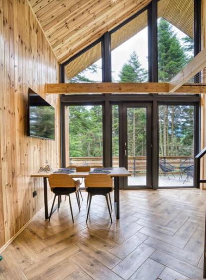 Cabane scandinave premium, vedere catre padure investi - 8