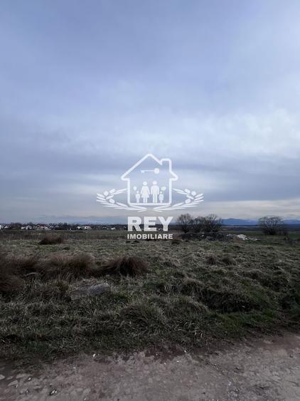 Teren Arabil Turnișor - Spre ferma de pui - 1