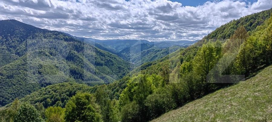 Teren agricol extravilan de 6000 mp, în Valea Ierii