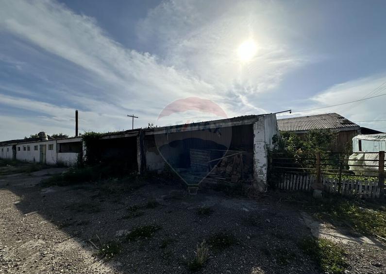 Spa?iu industrial Hale si Fabrica de lemn - 21