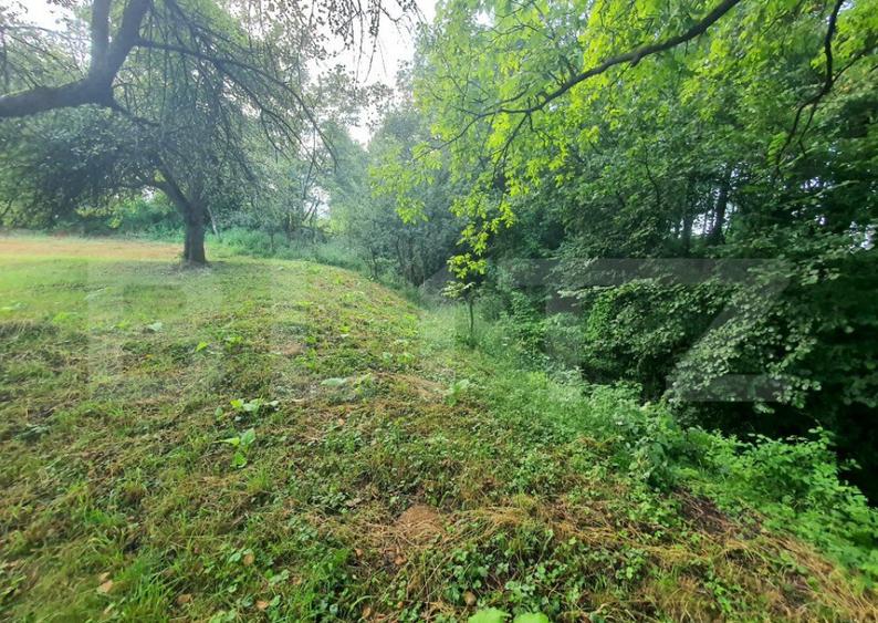 Teren intravilan, 31 ari, Ilva Mica, zona montana - 2