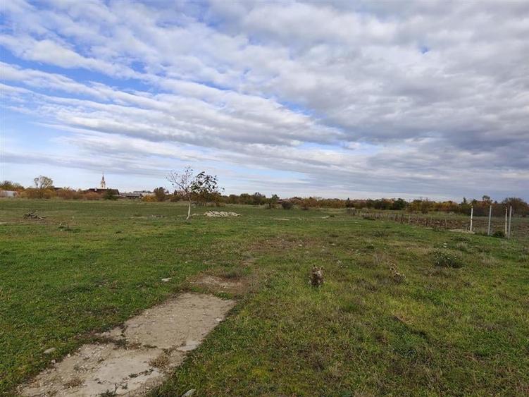 RECO teren intravilan Cefa cu proiect casa - 2