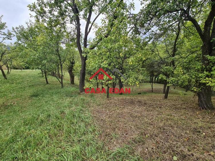 Teren intravilan in Sotrile--1671m--13e - 7