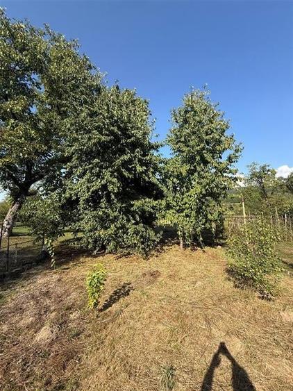 RECO . Casa in Saliste de Vascau . - 11