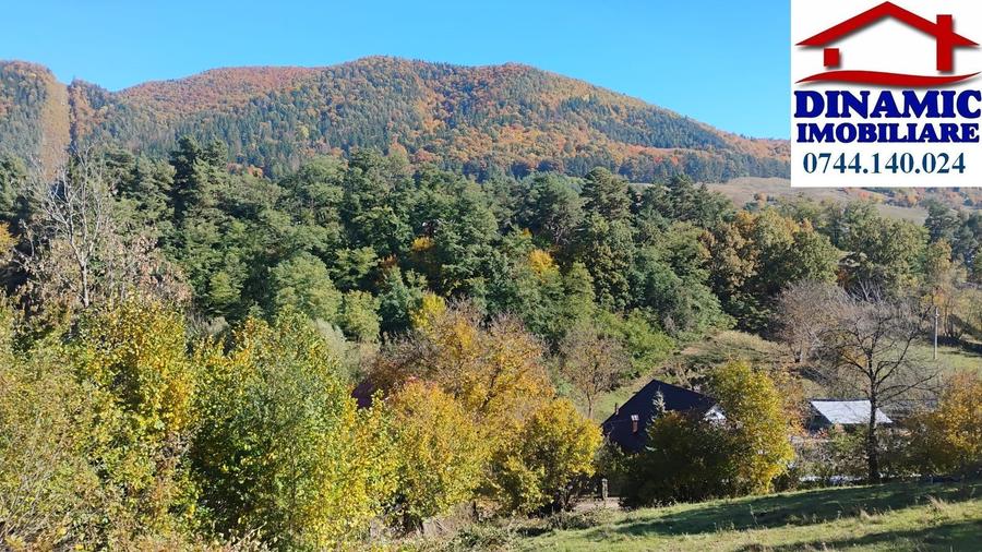 3600 mp teren intravilan, sat Bistrita, 12 Euro/mp - 1