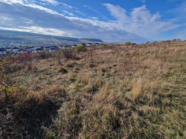 Teren Intravilan constructii 5500 mp  cu Puz In Chinteni - 2