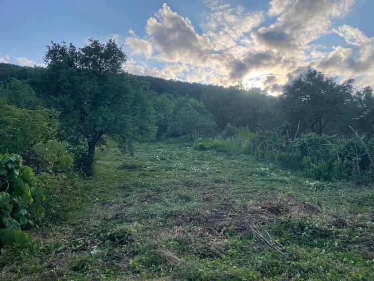 Vand casa la tara - 4