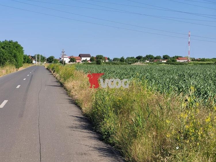 Teren industrial Cerneteaz - 1