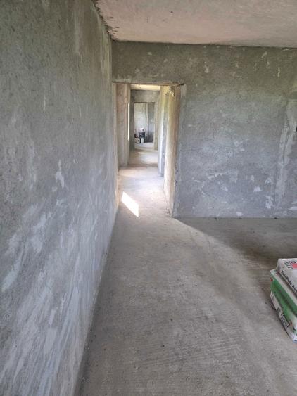 Casa de vanzare Sanmartin Jud Arad - 1