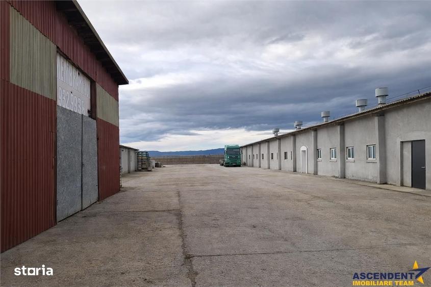 Spațiu comercial, de 800 mp, în Colonia Bod