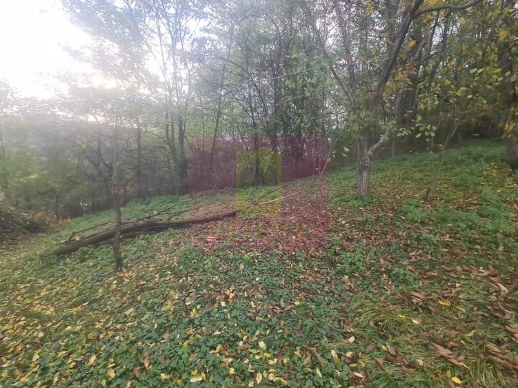 Casă cu 3 camere cu Teren 3410 Mp în Aluniș