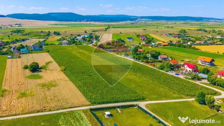 Comision 0% |Teren Intravilan Harman |Podu Oltului| princ... - Podu Oltului (Brasov) - 3
