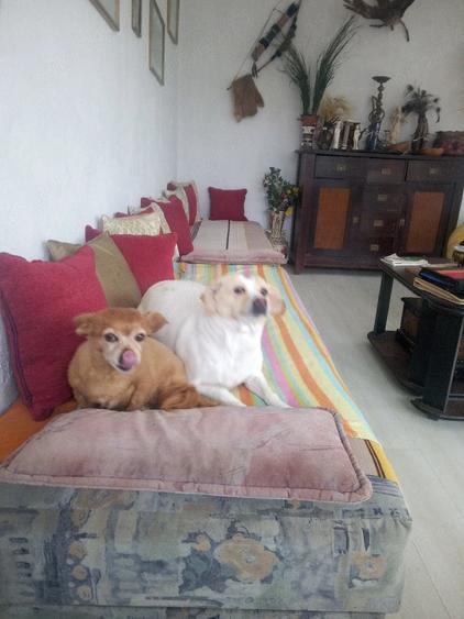 Casă cu 3 camere cu Teren 230 Mp în Decindea
