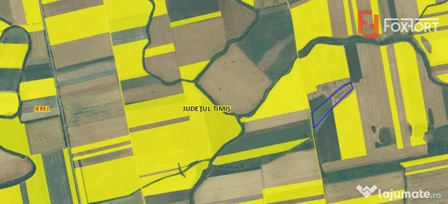 Teren agricol extravilan de vanzare, 2,69 hectare - Jebel Ti - Jebel (Timis) - 4