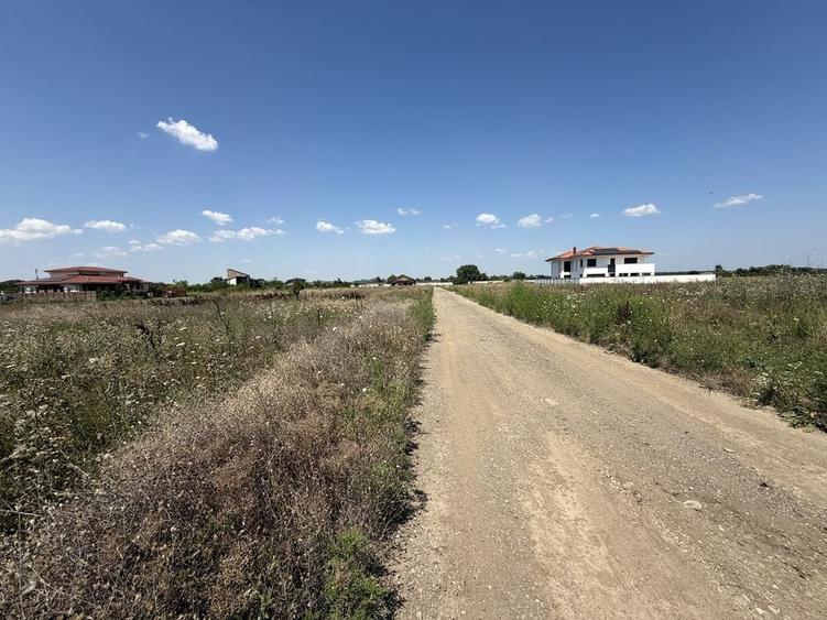 Teren Corbeanca Balotesti 545 mp Trei Lacuri - 5